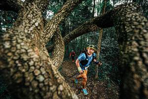 BIB: 
                            <button type="button" onclick="openModal(25393292)" class="btn btn-primary btn-sm float-right btn-popup" data-toggle="modal" data-target=".modal-high-quality">
                        <i class="fas fa-shopping-cart"></i> Add to Cart
                    </button>
                                            <button type="button" onclick="isThisMe(25393292, true)" class="btn btn-success btn-sm float-right btn-popup btn-isme hidden" data-toggle="tooltip" data-placement="bottom" title="นี่คือรูปของคุณใช่ไหม คลิกที่นี่เพื่อเอาเข้าอัลบั้ม">
                        <i class="fas fa-plus"></i> Add to album
                    </button>
                    <button type="button" onclick="isThisMe(25393292, false)" class="btn btn-warning btn-sm float-right btn-popup btn-isnotme hidden">
                        <i class="fas fa-ban"></i> Remove from album
                    </button>